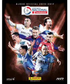 Campeonato Nacional Scotiabank